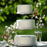 S shape 2024 cake stand